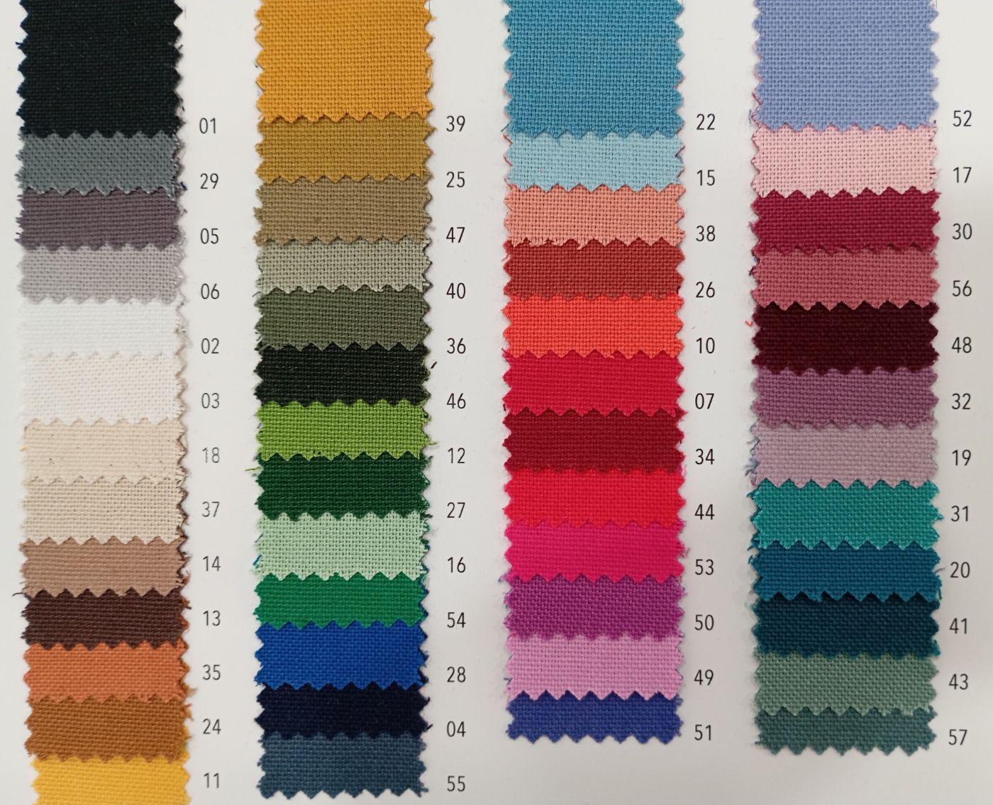 Loneta canvas 2297V