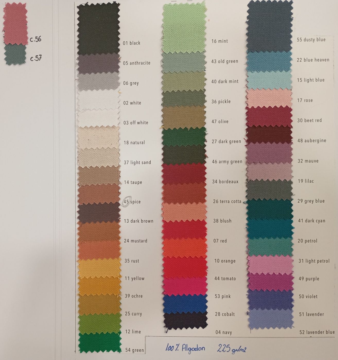Loneta canvas 2297V